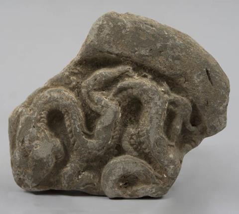 Primera imagen del registro Relieve con forma de serpiente