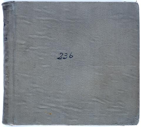 Primera imagen del registro Libro de Remate N° 236b