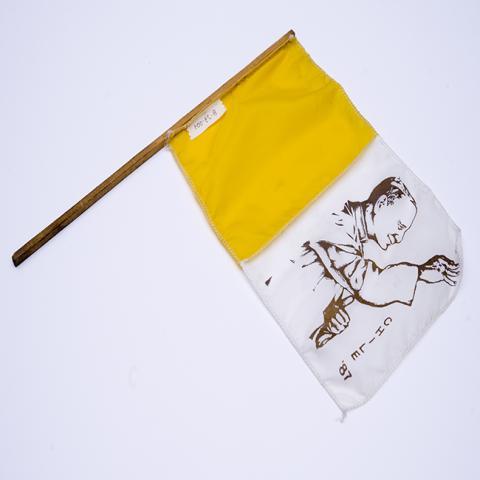 Primera imagen del registro Bandera