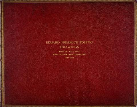 Primera imagen del registro Eduard Friedrich Poeppig Drawings. Reise in Chile, Peru und auf dem Amazonstrome 1827-1832