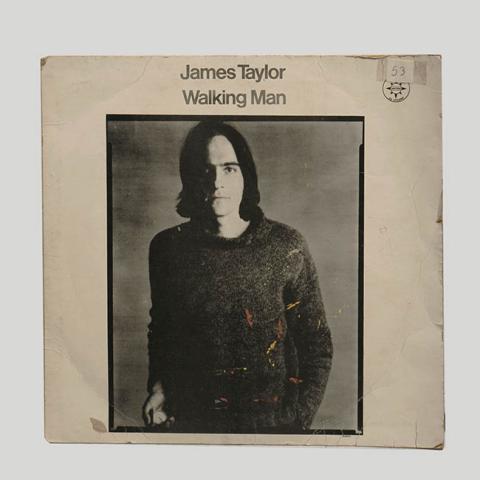 Primera imagen del registro Walking Man