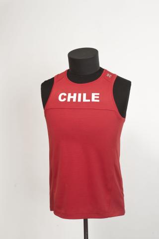 Primera imagen del registro Polera (uso en Chile)