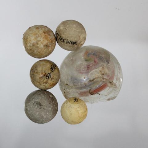 Primera imagen del registro Canica
