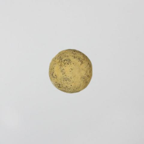 Primera imagen del registro Canica