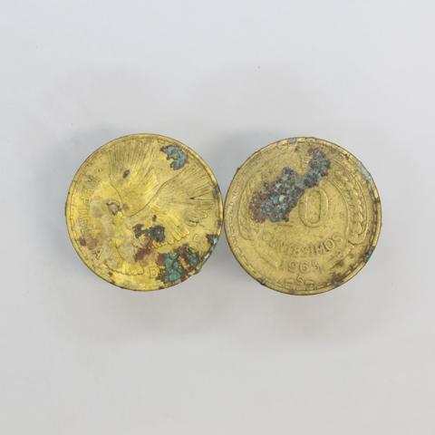 Primera imagen del registro Moneda Chilena