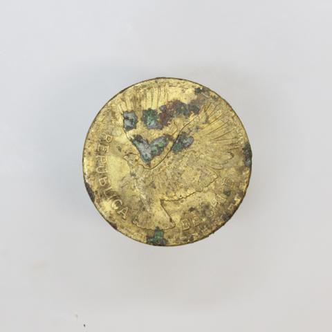 Primera imagen del registro Moneda Chilena