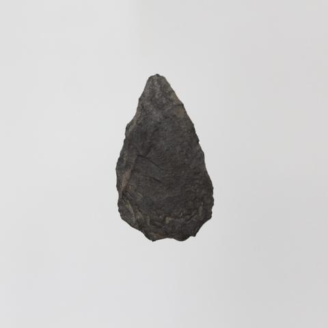 Primera imagen del registro Preforma de punta de proyectil