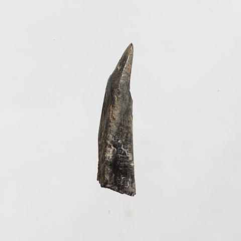 Primera imagen del registro Pulidor (arqueológico)