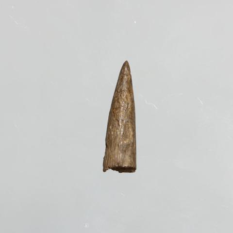 Primera imagen del registro Punzón (arqueológico)