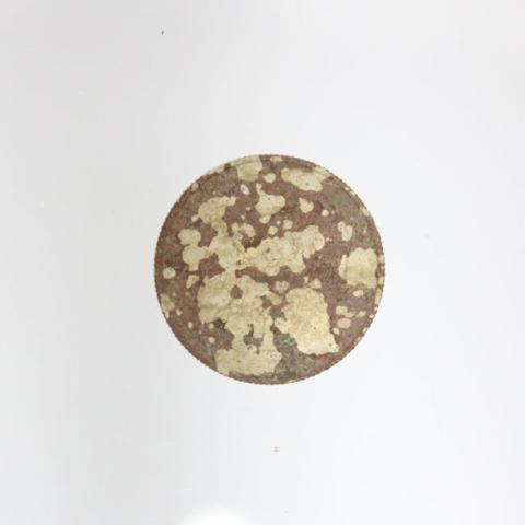 Primera imagen del registro Moneda