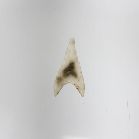 Primera imagen del registro Micropunta de proyectil