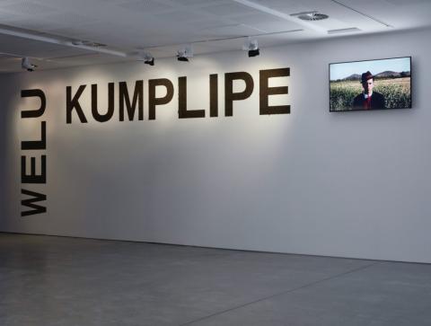 Primera imagen del registro Welu Kumplipe