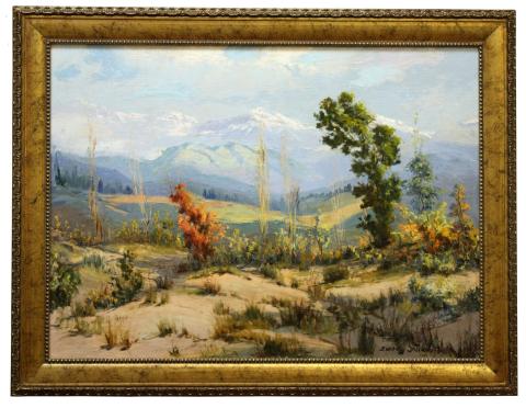 Primera imagen del registro Paisaje cordillerano