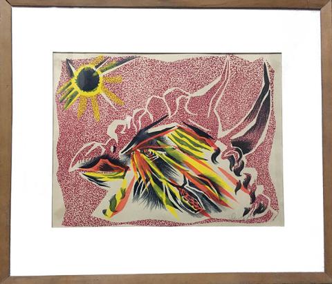 Primera imagen del registro Gallo y sol