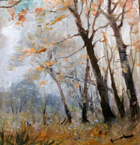 Primera imagen del registro Bosque