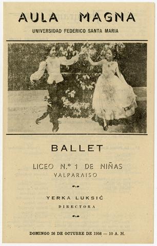 Primera imagen del registro Programa de Ballet Liceo N° de Niñas