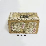 Primera imagen del registro Caja