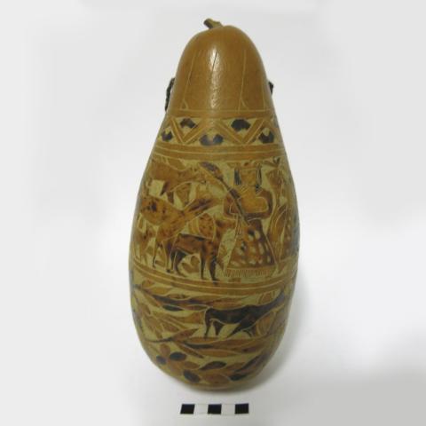 Primera imagen del registro Calabaza