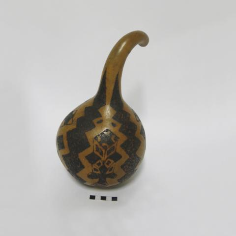 Primera imagen del registro Calabaza