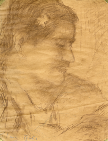 Primera imagen del registro Retrato de Doña Rosa Vásquez