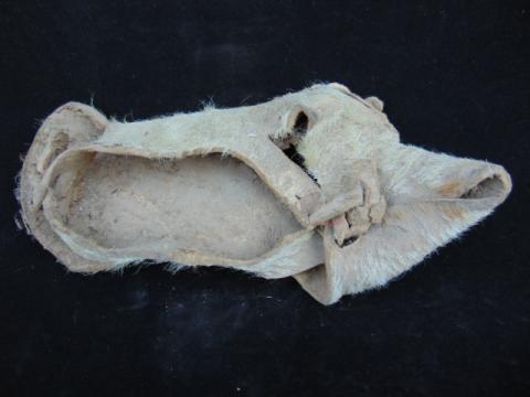 Primera imagen del registro Mocasín