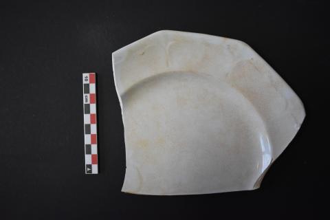 Primera imagen del registro Platillo (plato)