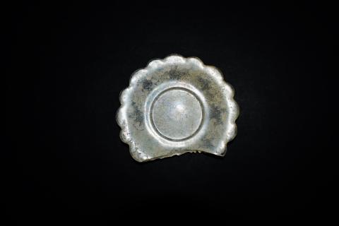 Primera imagen del registro Platillo (plato)