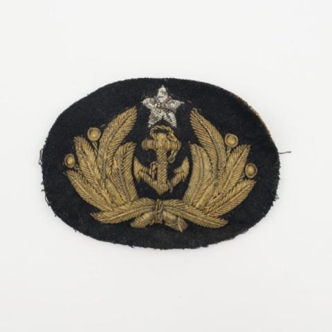 Primera imagen del registro Insignia (artefacto de identificación)
