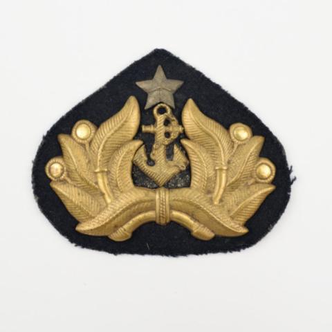 Primera imagen del registro Insignia (artefacto de identificación)