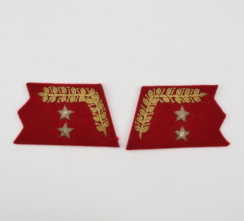 Primera imagen del registro Insignia (artefacto de identificación)