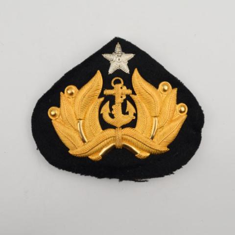 Primera imagen del registro Insignia (artefacto de identificación)