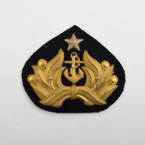 Primera imagen del registro Insignia (artefacto de identificación)