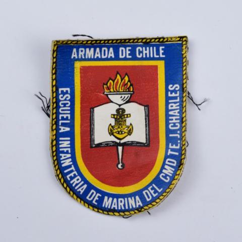 Primera imagen del registro Insignia (artefacto de identificación)