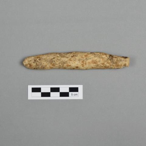 Primera imagen del registro Rollo (artefacto de información)