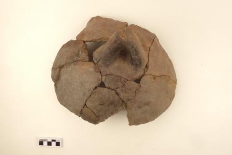 Primera imagen del registro Urna Diaguita (arqueológico)