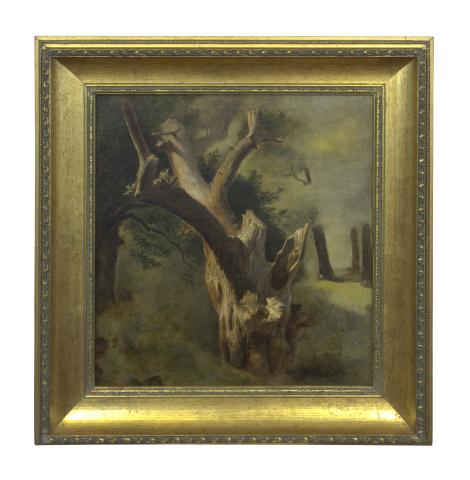 Primera imagen del registro El árbol seco