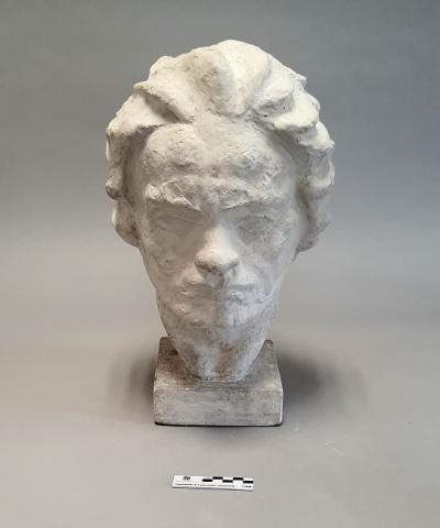 Primera imagen del registro Cabeza de Beethoven