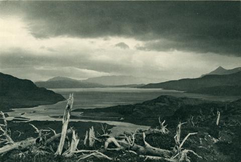 Primera imagen del registro Lago del Toro, Desembocadura del Río Paine