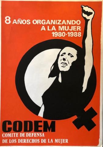Primera imagen del registro 8 años organizando a la mujer