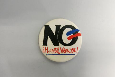 Primera imagen del registro Campaña del No