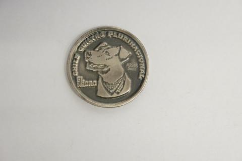 Primera imagen del registro Un Quiltro