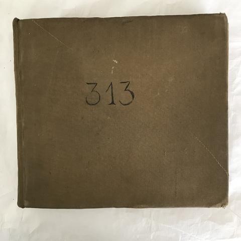 Primera imagen del registro Libro de Remate Nª 313