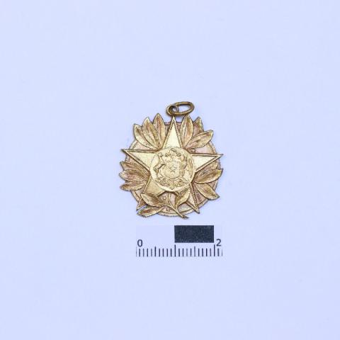 Primera imagen del registro Medalla