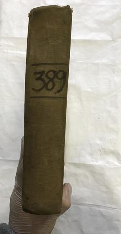Primera imagen del registro Libro de Remate Nª 389