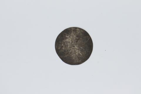 Primera imagen del registro Broche