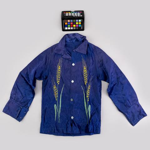 Primera imagen del registro Camisa