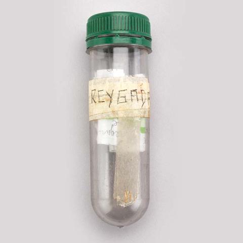 Primera imagen del registro Contenedor