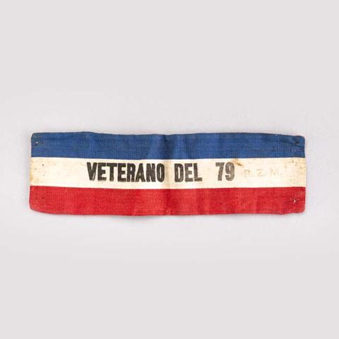 Primera imagen del registro Brazalete