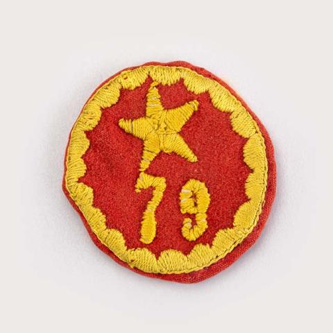 Primera imagen del registro Parche militar