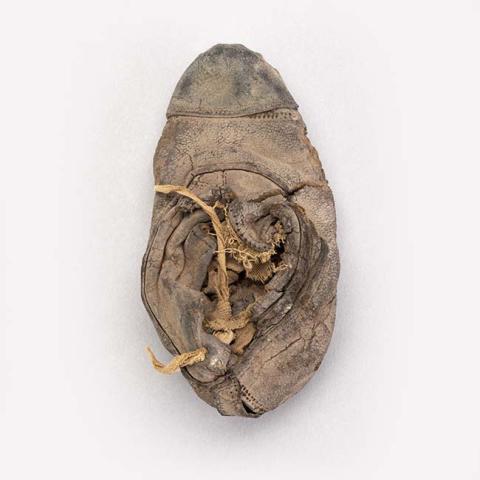 Primera imagen del registro Zapatos (niño)